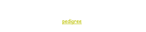 Black Silver Tabby
Marius is now neutered and retired from breeding and showing

pedigree
